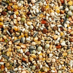Mélange Maxi Digest-1 3M Popcorn 25kg - Natural à 24,40 € - Natural - 105394725 - Maxi