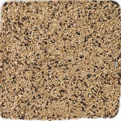 N°65 Canaris Light 20kg - Deli Nature 006365 Deli Nature 40,55 € Ornibird