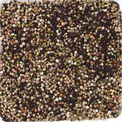 Canary - Seed to Sprout 20kg - N°82 - Deli-Nature (Beyers) 066382 Deli Nature 35,30 € Ornibird