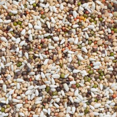 Large Parakeets & Parrots - Seeds to Germinate 15kg - N°33 - Deli-Nature (Beyers) 006433 Deli Nature 21,45 € Ornibird