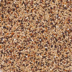 N°92 Pinsons Sport 20kg - Deli Nature - 32,70 € - Deli Nature - 5411860024047 - Ornibird SRL