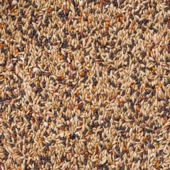 N°95 Pinsons Repos 20kg - Deli Nature - 32,25 € - Deli Nature - 5411860024078 - Ornibird SRL