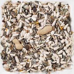 Perroquets au kg - Ornibird à 3,15 € - Deli Nature - 006460/kg - Au détail