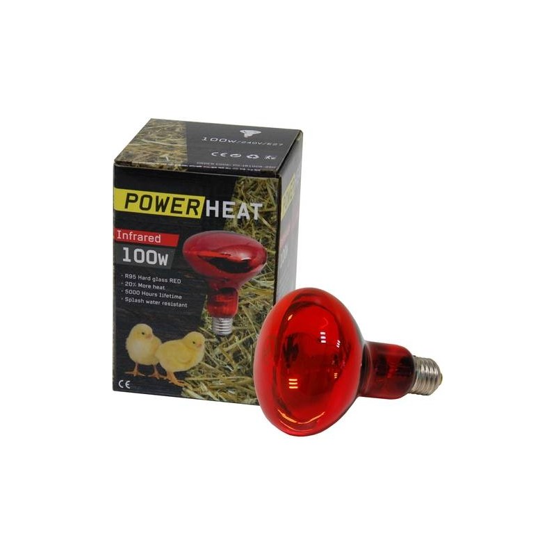 Ampoule infrarouge R80 230V 100W Rouge - PowerHeat 24141 Kinlys 7,70 € Ornibird