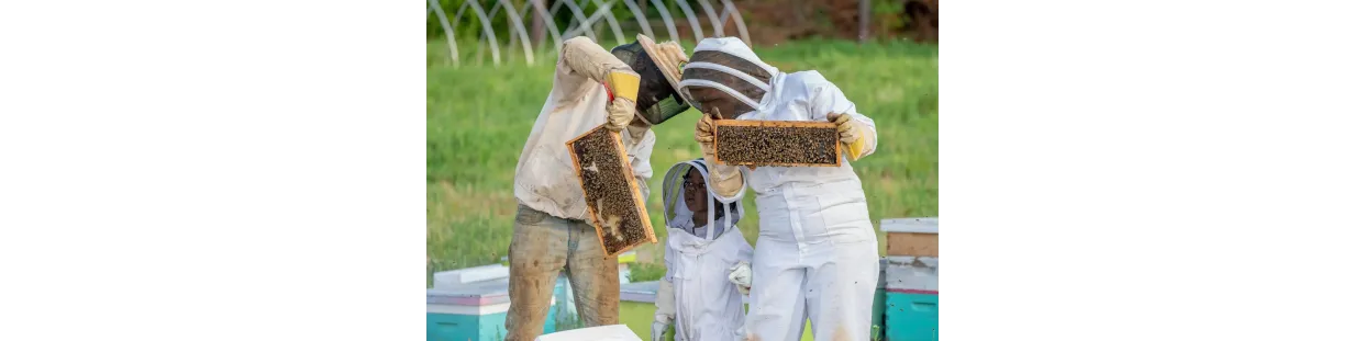 Beekeeping