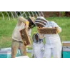 Beekeeping