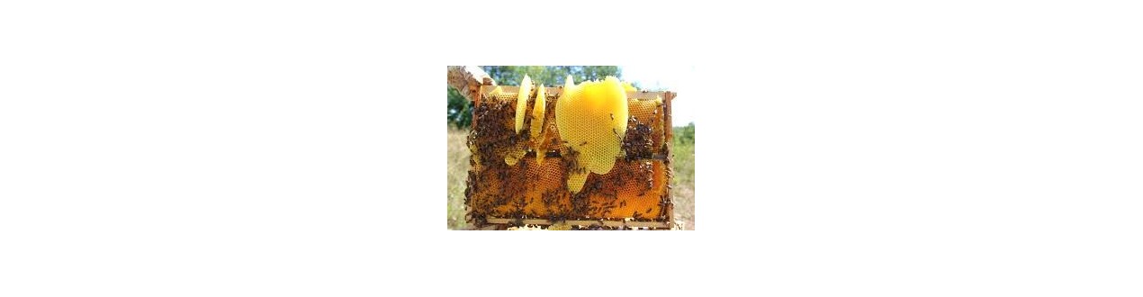 Cire d'abeilles