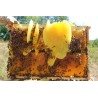 Cire d'abeilles