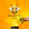 Ruchettes Simplex