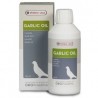 Energie & Renforcement musculaire / Performance