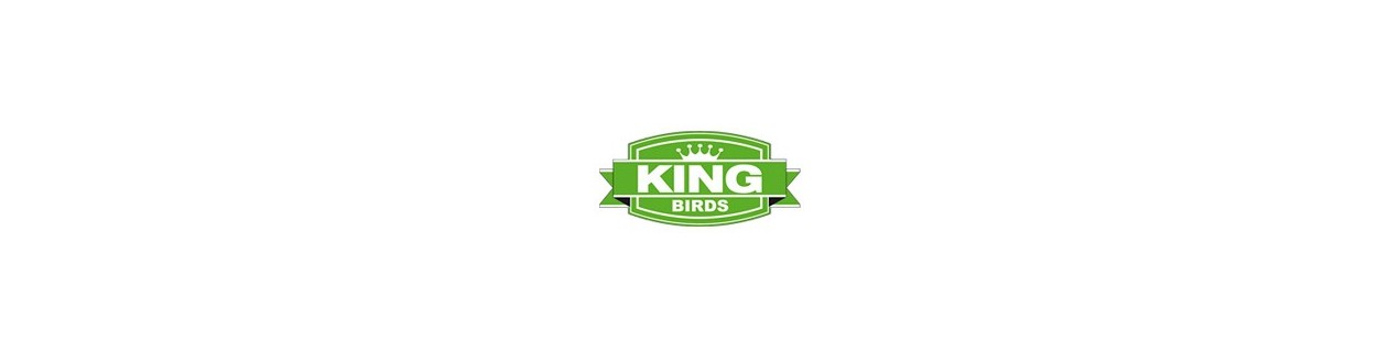 Koning