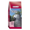 Parrots
