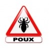 Anti-Poux