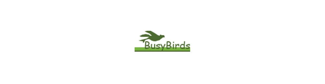 BusyBirds