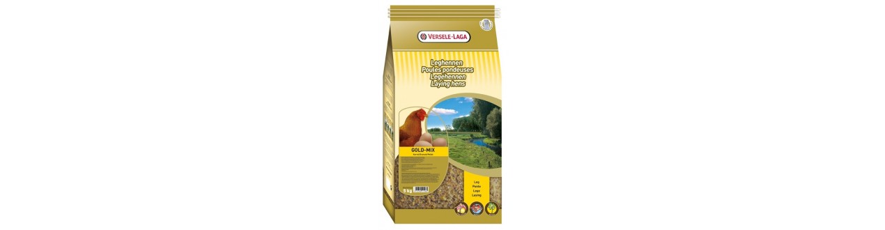 Hen seeds