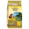 Poules