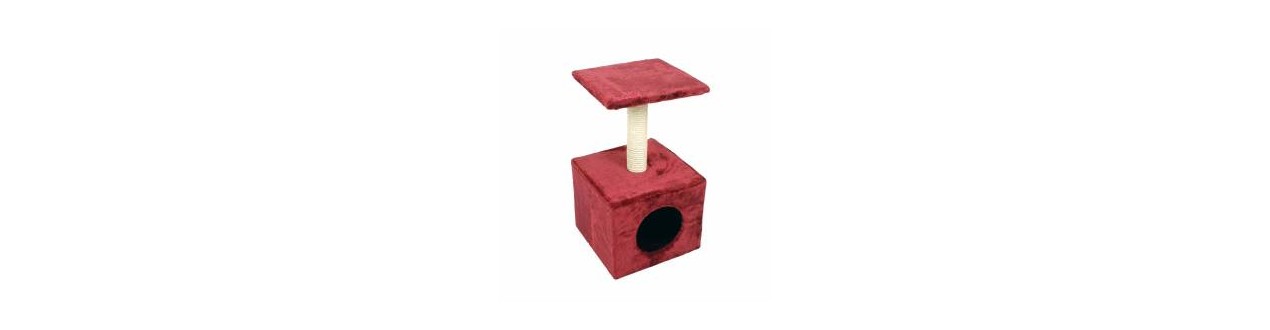 Cat Tree & Scratch