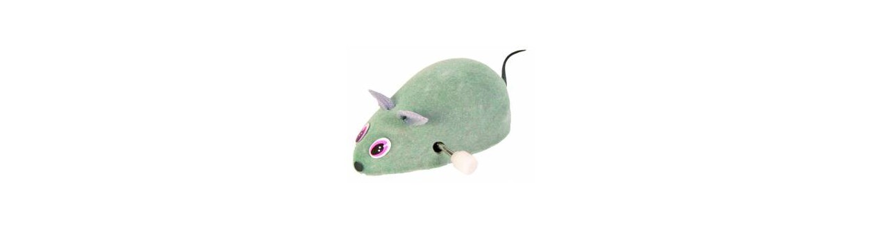 Muis