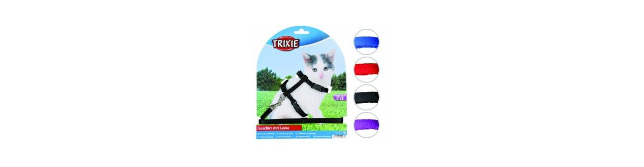 Harness