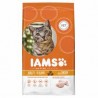 Iams