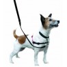 Collars and correction harnesses
