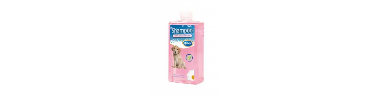 Shampoo e profumi