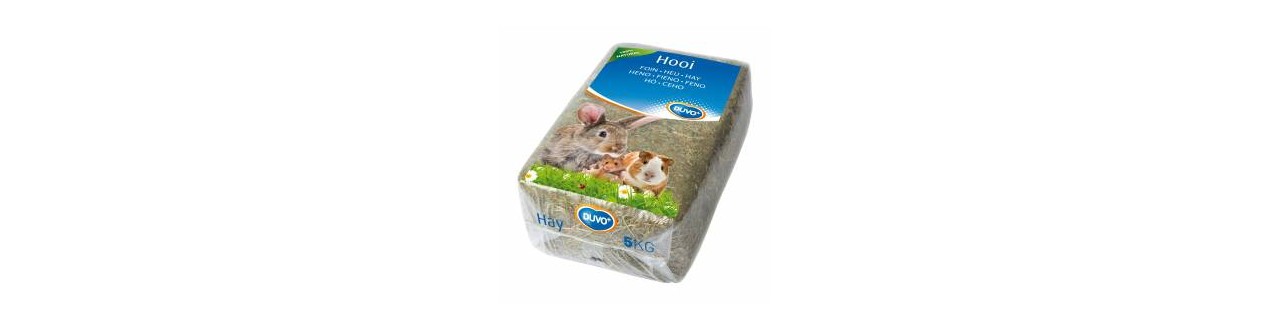 Cibo e snack