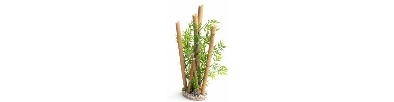 Decoratie