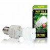Lampes