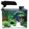 Aquarium