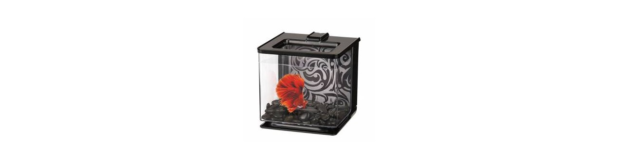 Jar for fish