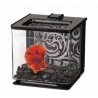 Jar for fish