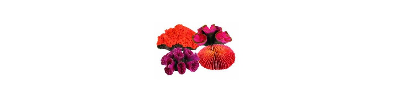Decoratie