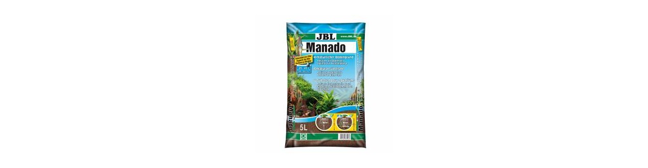Cuidar de plantas