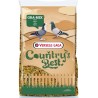 Country's Best
