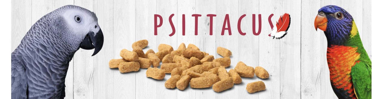Psittacus