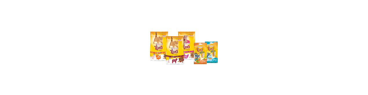 Katten