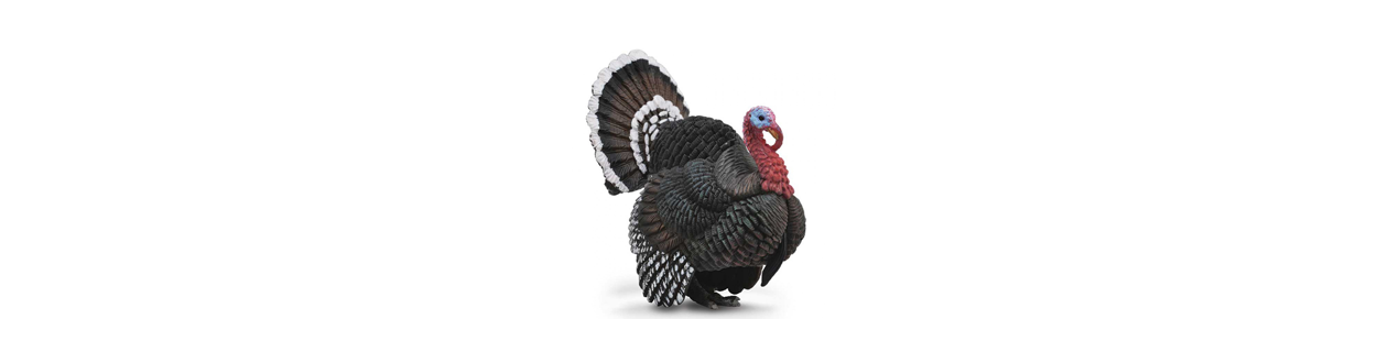 Turkey
