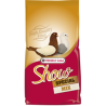 Show Plus I.C.⁺