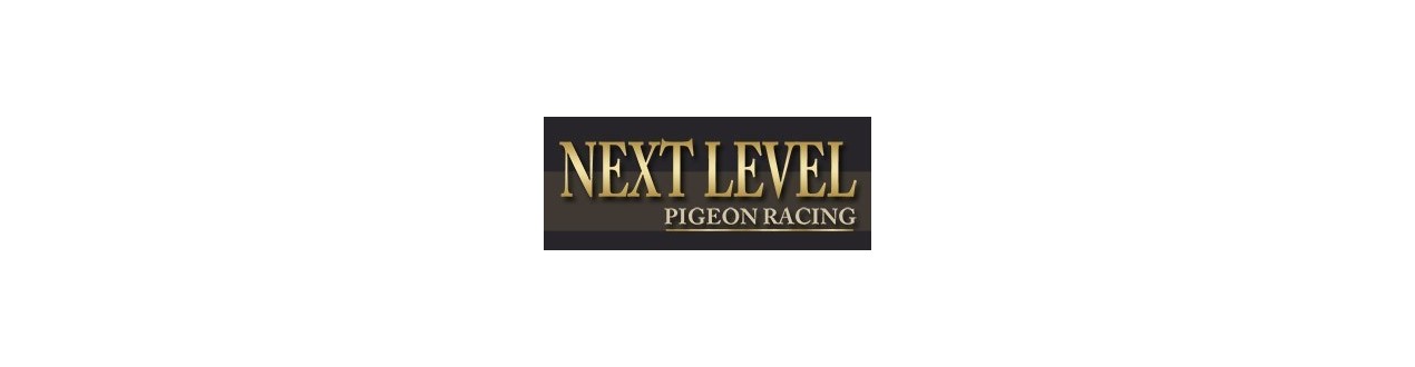 NextLevel - Pigeons