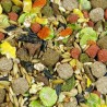 Alimentation principale
