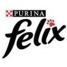 Felix