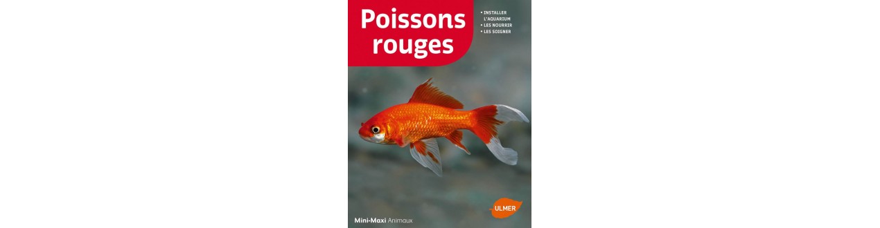 Buch