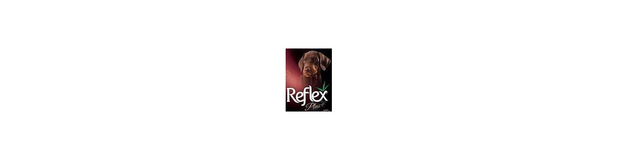 Reflex Plus