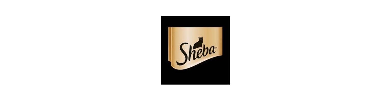 Sheba