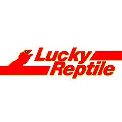 Lucky Reptile