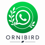 WhatsApp - Ornibird