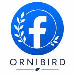 Facebook - Ornibird