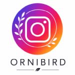 Instagram - Ornibird