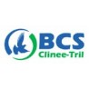 BCS